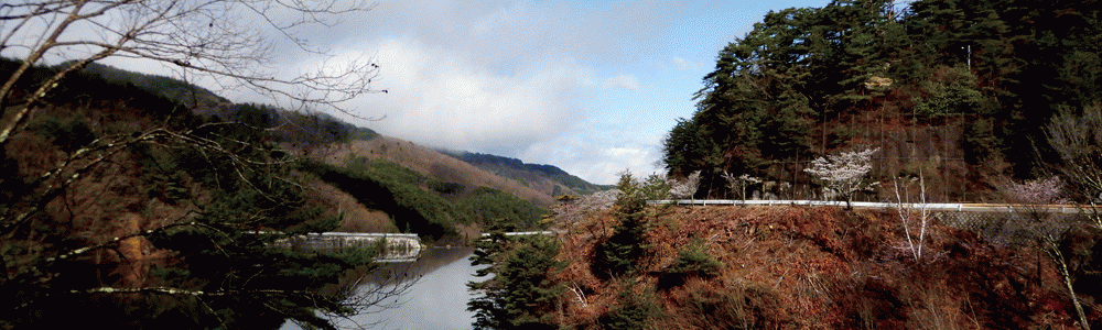 【スタートアップ20】起業,創業,ホームページの作成,ドメインの取得