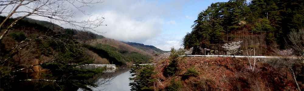 『2024年度版』【スタートアップ20】起業,創業