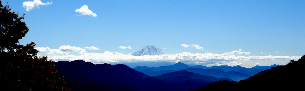 『2024年度版』【スタートアップ20】ホームページの作成,ドメインの取得