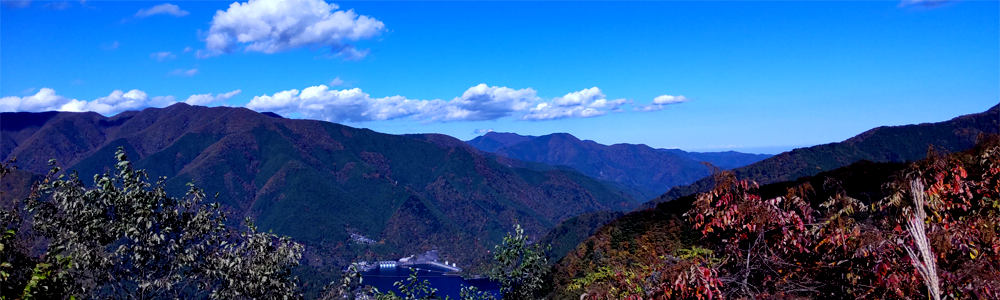 『2024年度版』【スタートアップ20】起業,創業,ホームページの作成,ドメインの取得